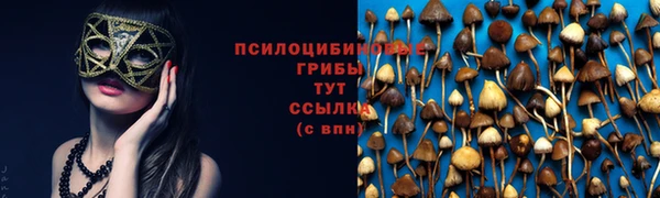 дмт Абаза