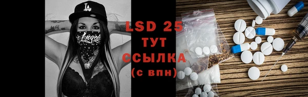 стаф Алексин