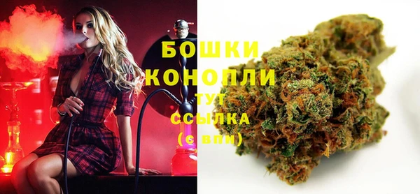 дмт Абаза